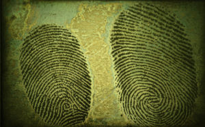 Fingerprint