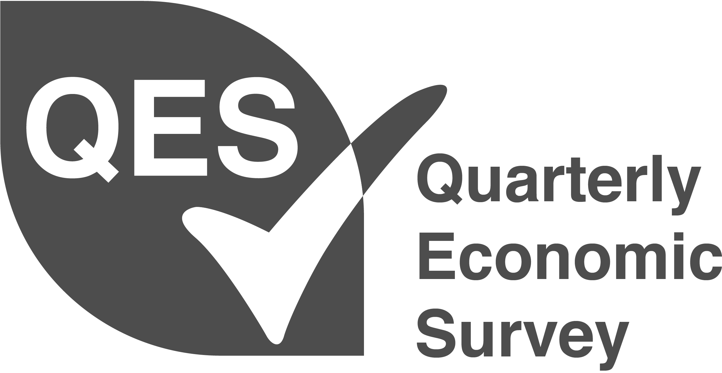 Logo-of-QES-graphic