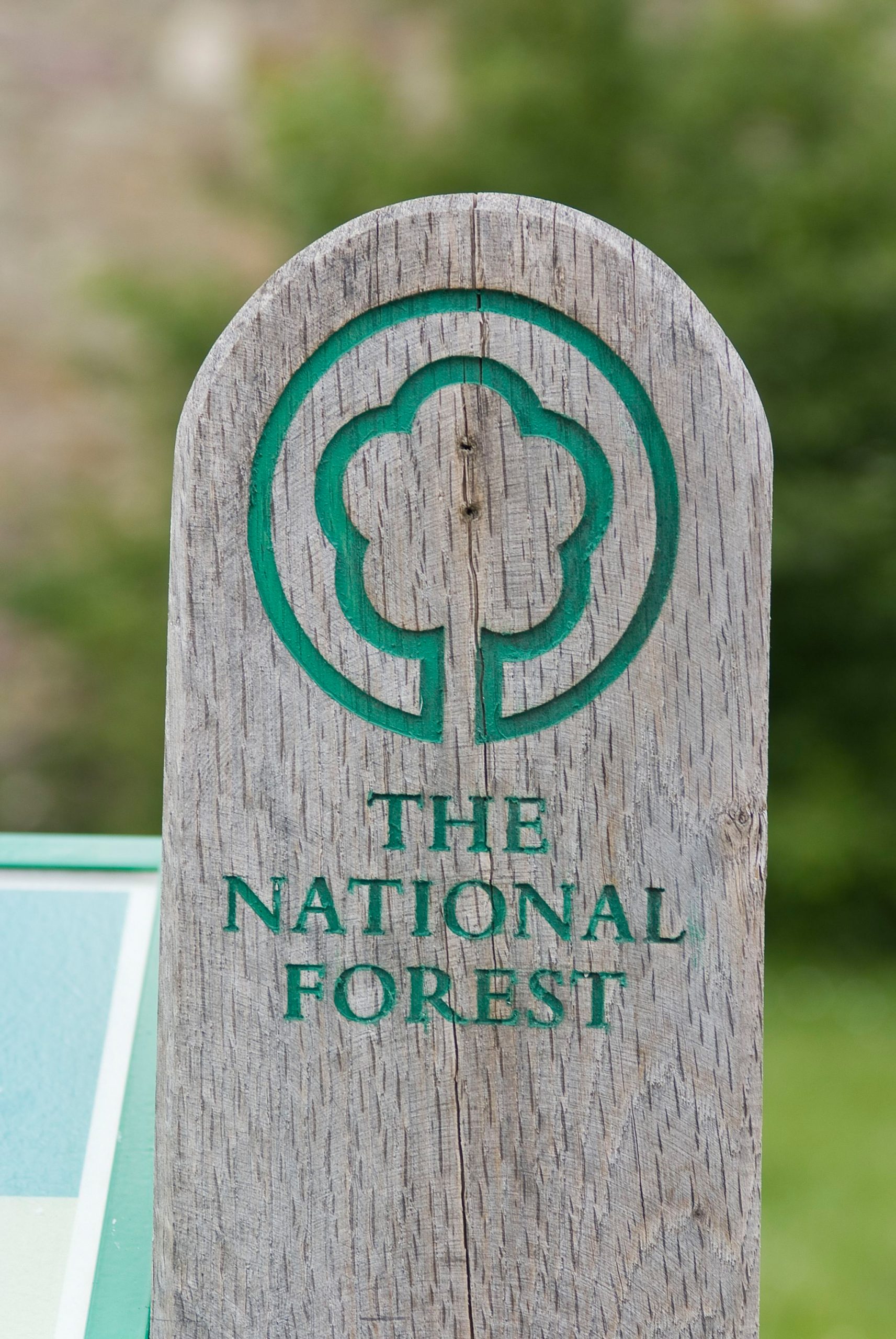 National Forest Signpost 