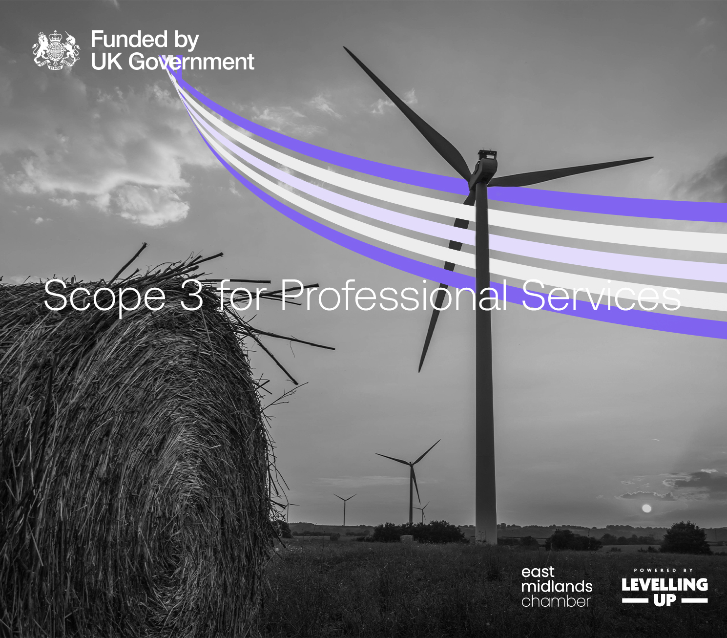 EMC Scope 3 for Professional Services 