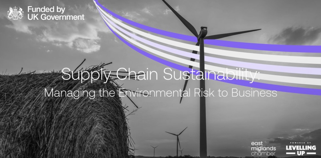 Supply Chain Sustainability 
