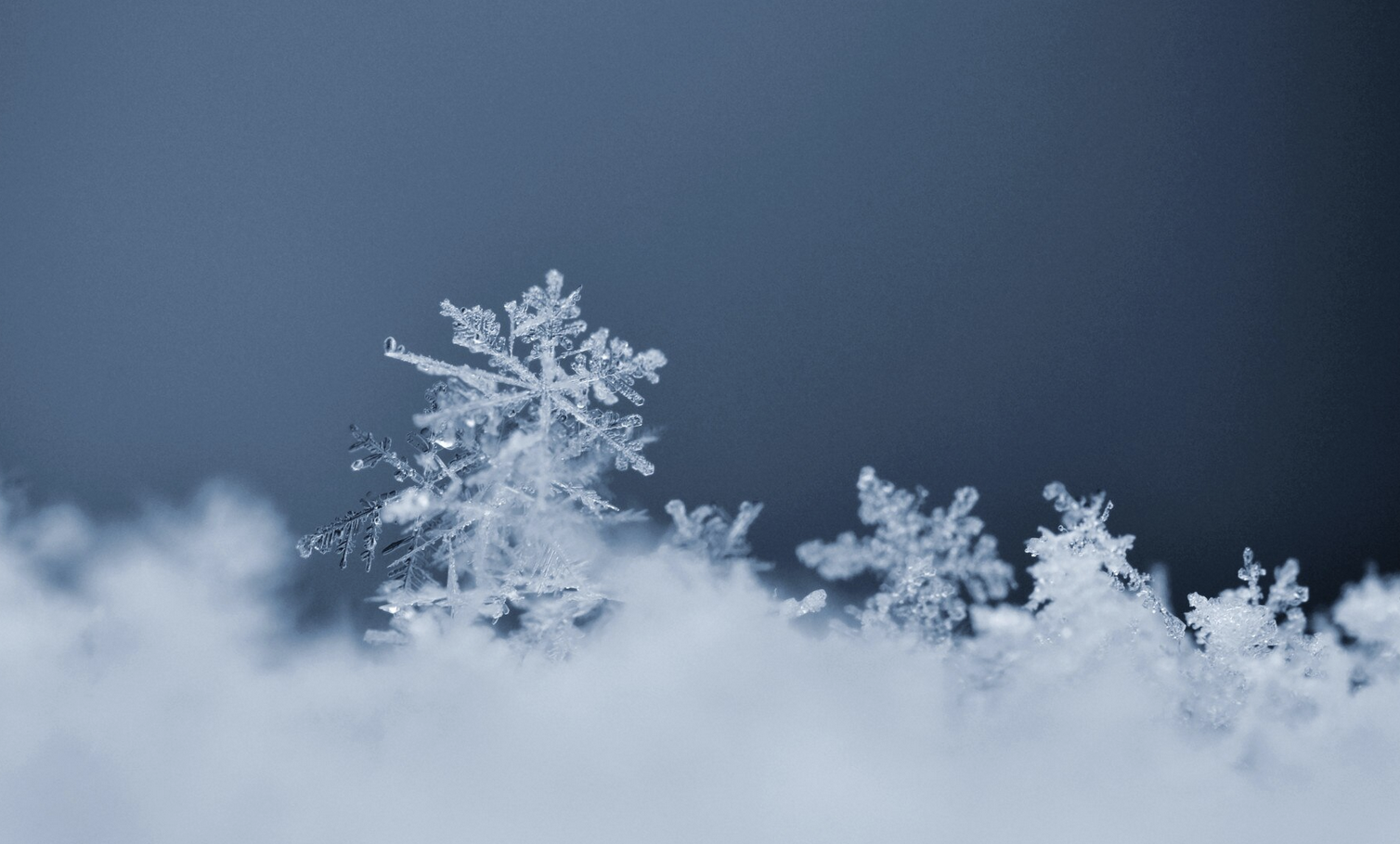 Working Safely in Cold Conditions: What SMEs Need to Know